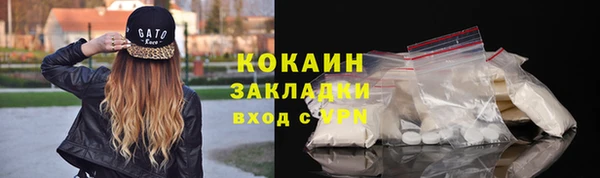 бошки Инта
