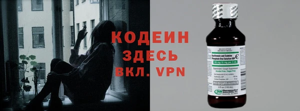бошки Инта
