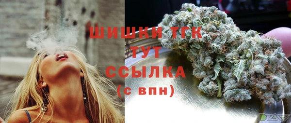 бошки Инта