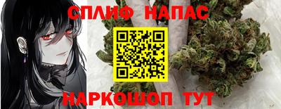 дмт Гатчина