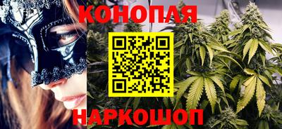 дмт Гатчина