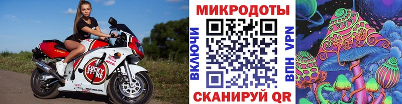Галлюциногенные грибы прущие грибы Грозный