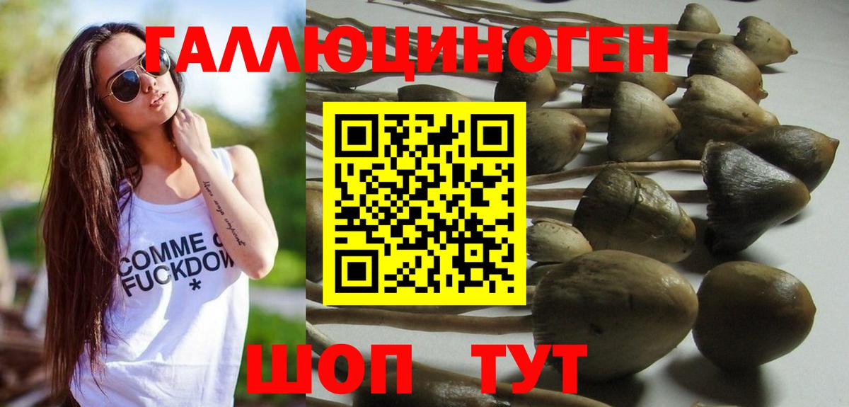 Псилоцибиновые грибы мухоморы Грозный